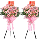 ˷��ƽ³����ҵ����